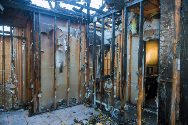 Professional Smoke Damage Removal technician working in Soda Springs, ID